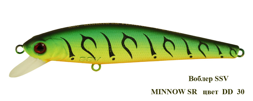 SSV-MSR-30