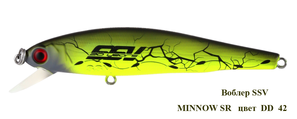 SSV-MSR-42