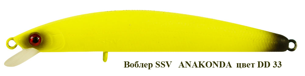 SSV-ANS-33