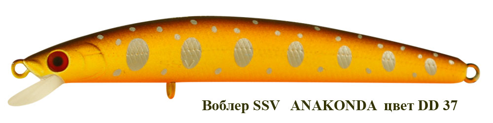 SSV-ANS-37