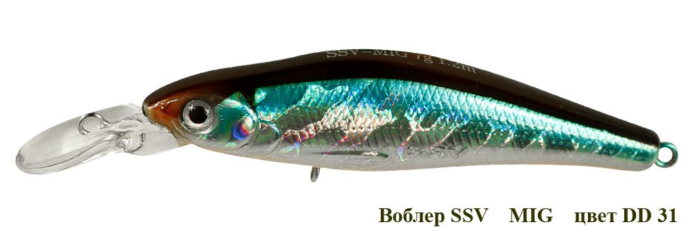 SSV-MI-31