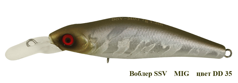 SSV-MI-35