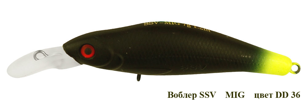 SSV-MI-36