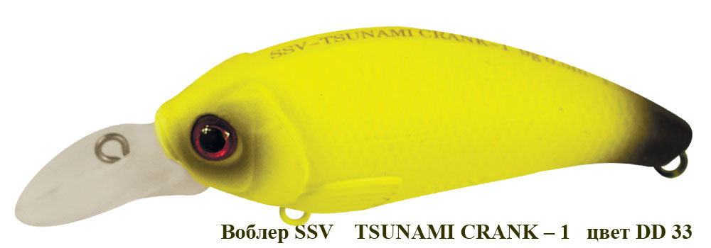 SSV-TC1-33