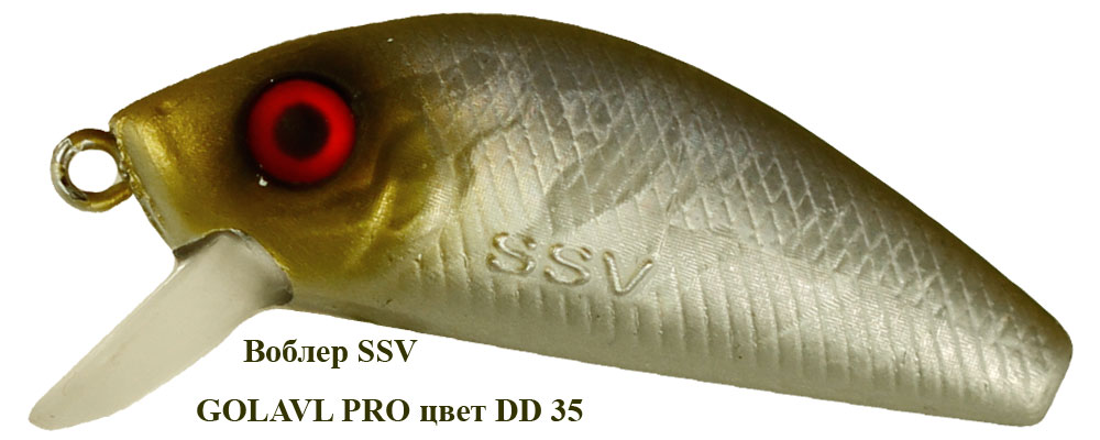 SSV-GP-35