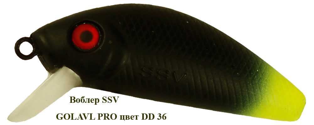 SSV-GP-36