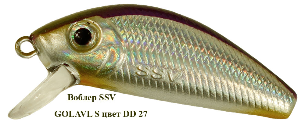 SSV-GS-27