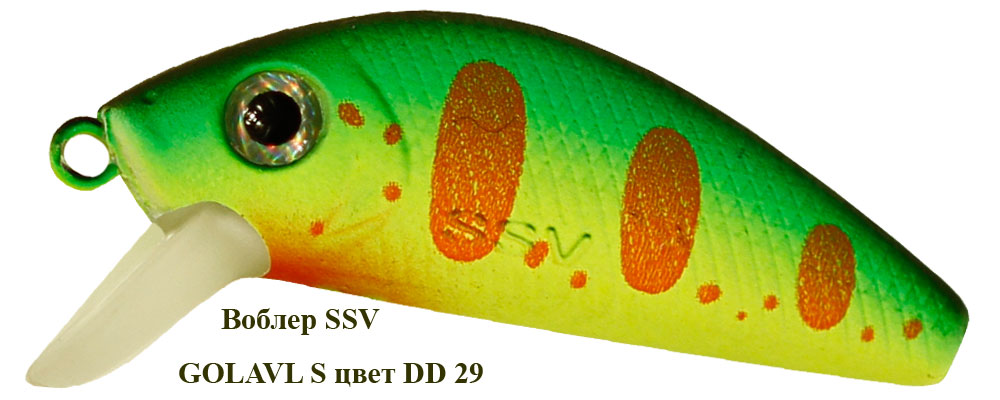 SSV-GS-29