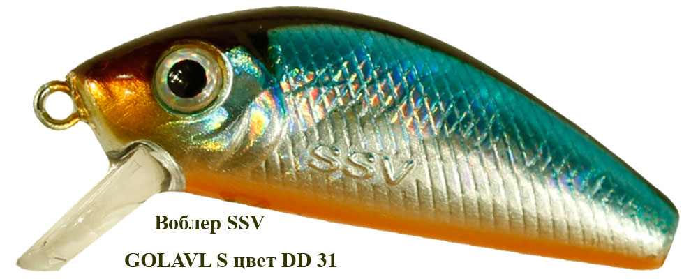 SSV-GS-31