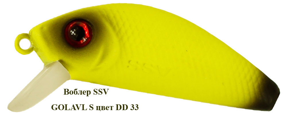 SSV-GS-33