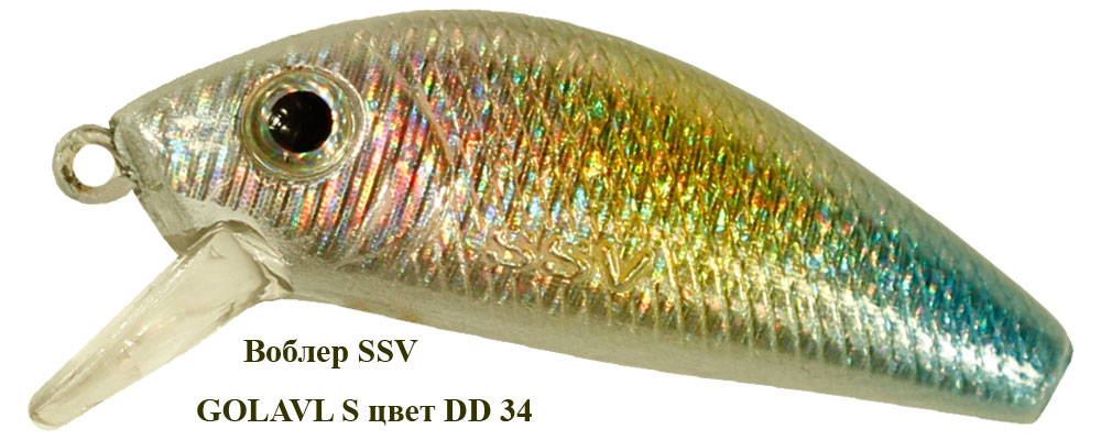 SSV-GS-34