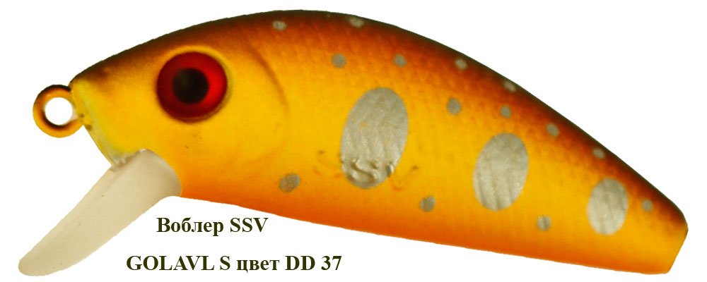 SSV-GS-37