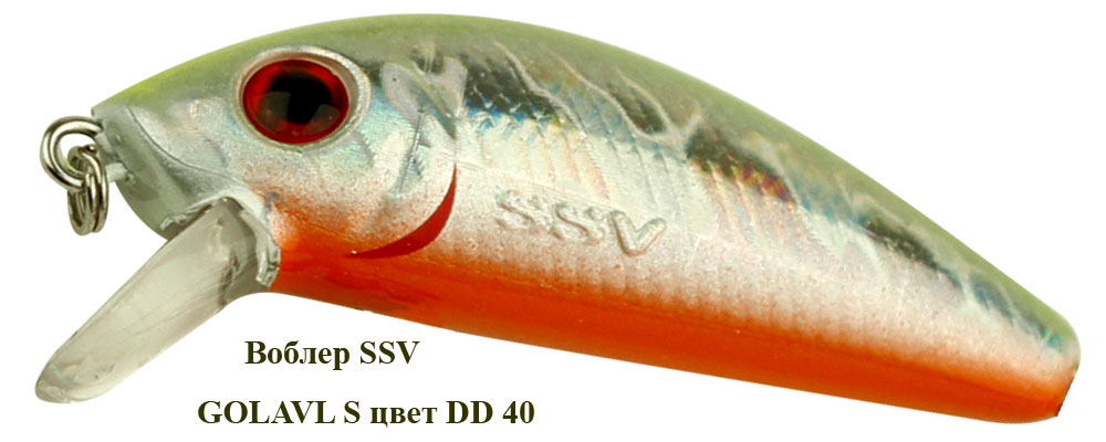 SSV-GS-40
