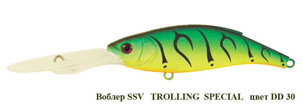 SSV-TS-30