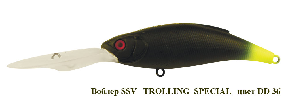SSV-TS-36