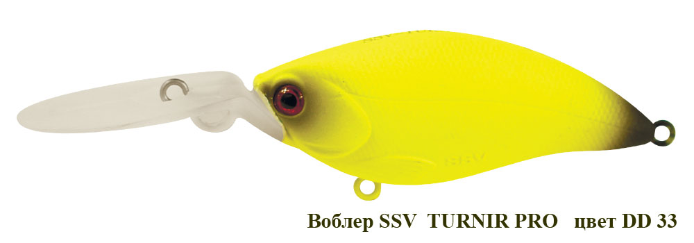 SSV-TUP-33