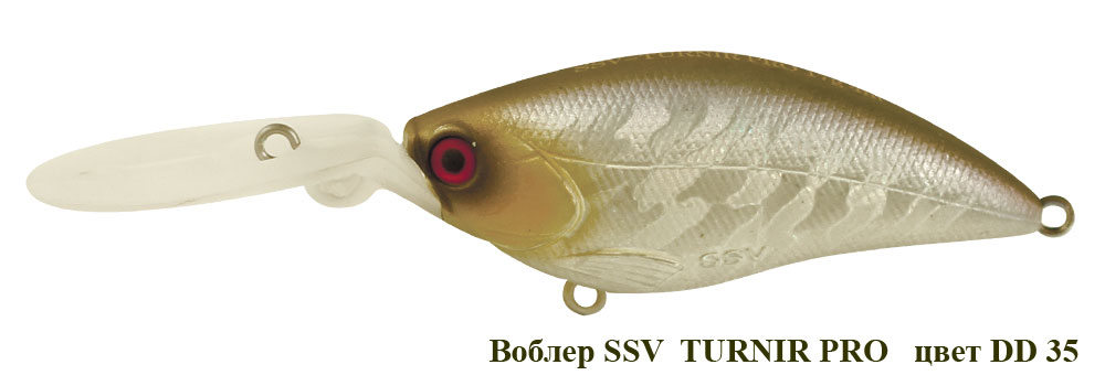 SSV-TUP-35