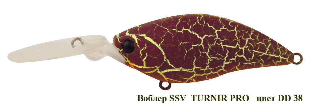 SSV-TUP-38
