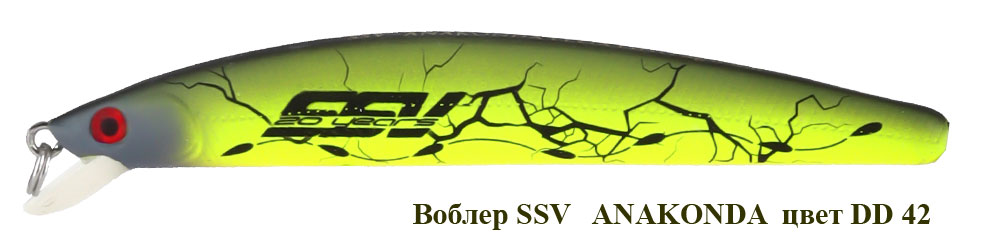 SSV-ANF-42