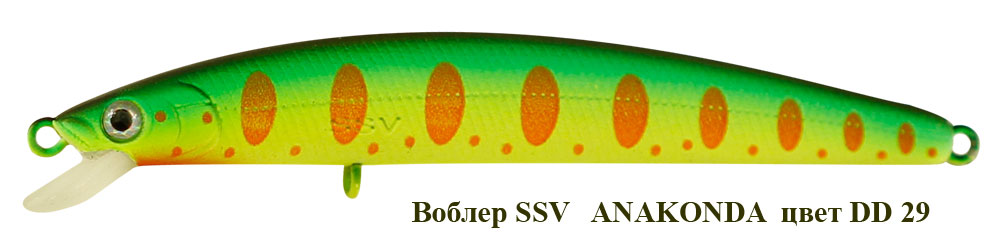 SSV-ANF-29