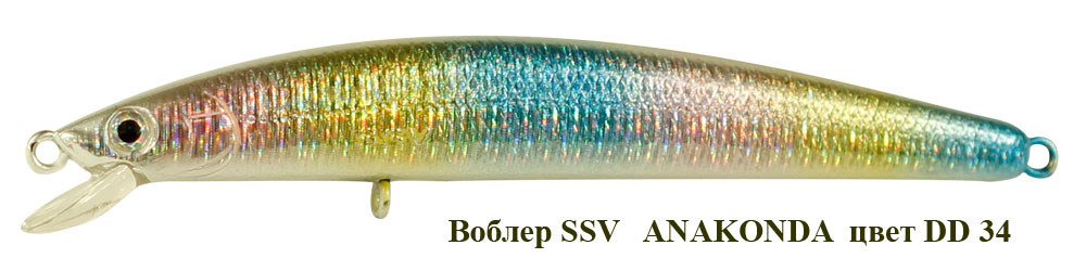 SSV-ANF-34