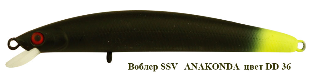 SSV-ANF-36
