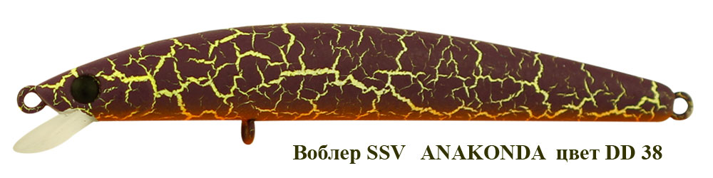 SSV-ANF-38