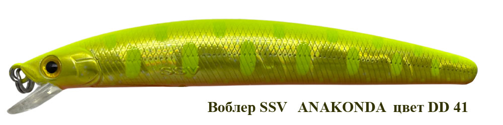 SSV-ANF-41