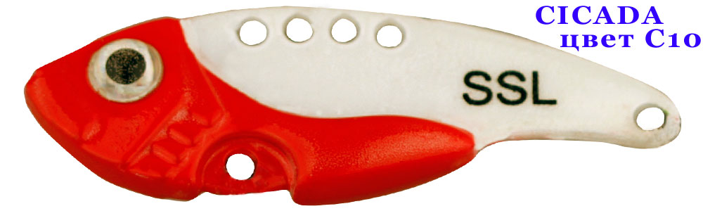 Cicada C10/10