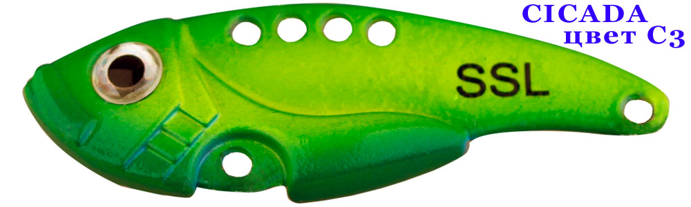 Cicada  C3/10