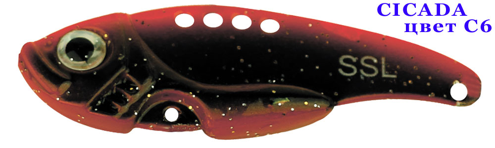 Cicada C6/7