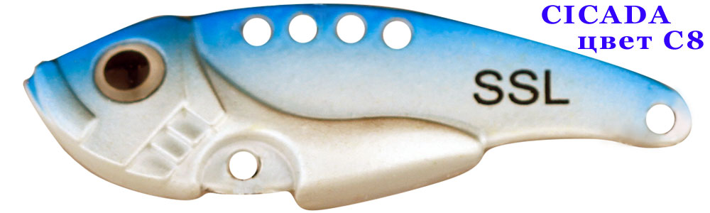 Cicada  C8/10