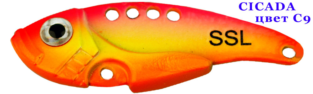 Cicada  C9/10