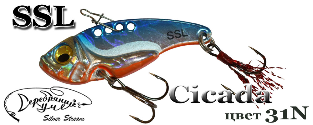 Cicada C31N/10