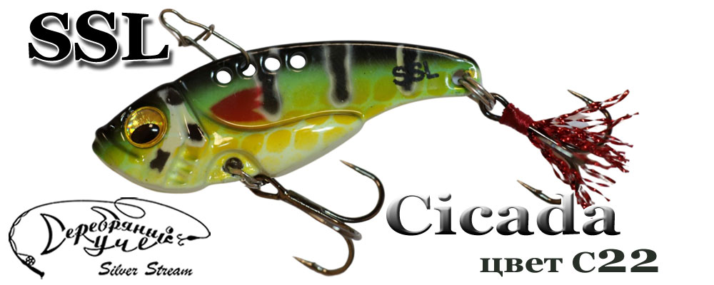 Cicada C22/7