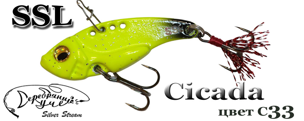 Cicada C33/14