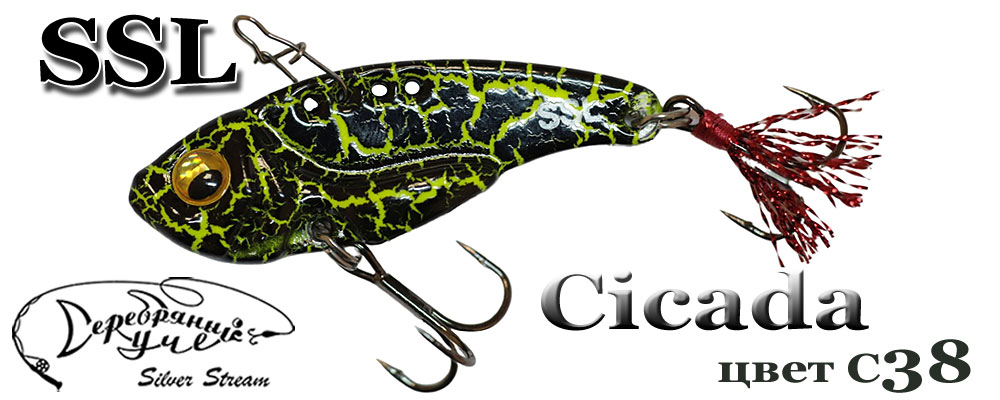 Cicada C38/14