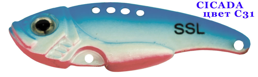 Cicada C31/10