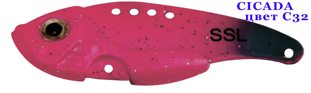 Cicada C32/14