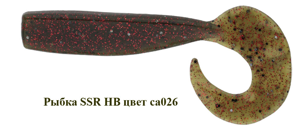 SSR HB 110