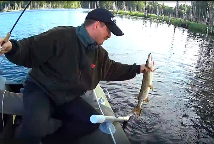 Профессиональный спиннинг из программы Silver stream, Instinct Z.