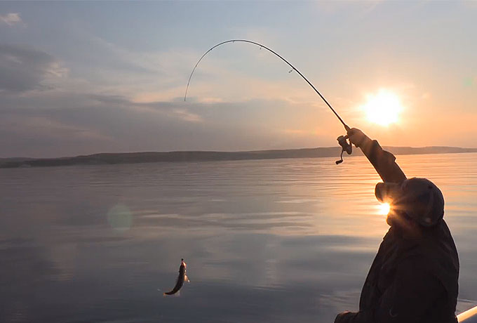 Taifun 20 лет юбилейная серия. Испытание в деле...