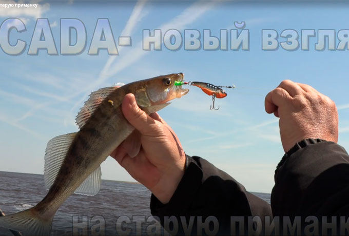 CICADA-новый взгляд на старую приманку