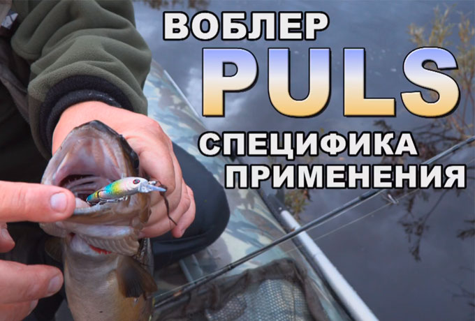 НОВИНКА! Воблер PULS- специфика применения.