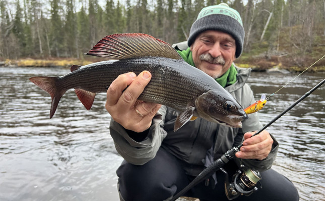 Спиннинг TAIFUN PROFESSIONAL