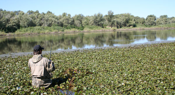 Спиннинг – не раскрытые возможности.  Ловля на заросших водоемах.